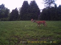 PICT0004.jpg