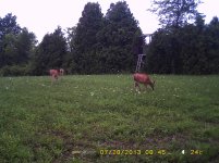 PICT0005.jpg