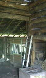 IMAG0401.jpg