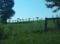 20130725_090527.jpg