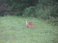 IMG_5897.jpg