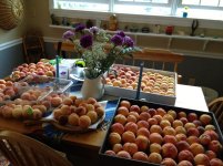 IMG_0209.jpg