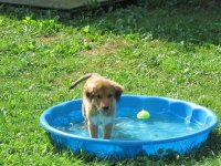 IMG_0247.jpg