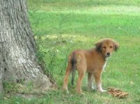 IMG_0274.jpg