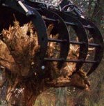 RHINO stumps 004.JPG