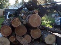 firewood load 2 2013 009.JPG