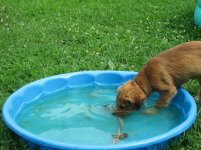 IMG_0284.jpg