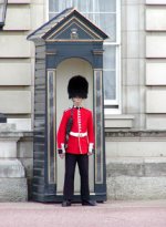 17+Coldstream+Guard+at+Buckingham+Palace+ps.jpg