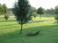 IMG_1518.jpg