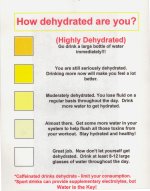Dehydrated Sheet.jpg