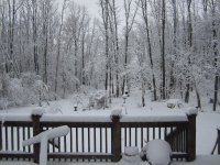 IMG_0067.jpg