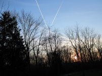 IMG_0043.jpg