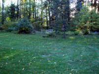 DSC01199.jpg