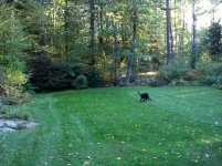 DSC01198.jpg