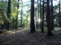 DSC01204.jpg