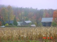515483-DSC01828.JPG