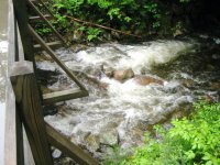515776-bridge_high-water-1-sm.jpg