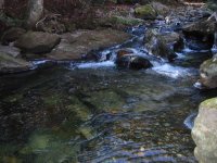 515777-swimming_hole_11-16-sm.jpg