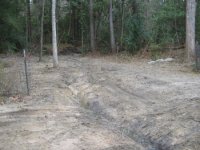 601541-ditch1(450 x 338).jpg