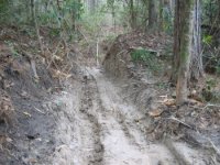 601548-ditch2 (450 x 338).jpg