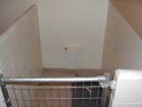562254-kennel1099.jpg