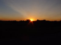 516389-DSC02347.JPG