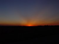 516390-DSC02378.JPG