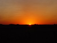516391-DSC02362.JPG