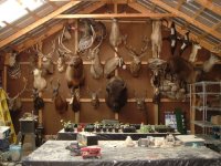 475065-Barn, collection, Aug 04.jpg