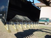 602802-Gold Tooth Bucket Teeth.JPG