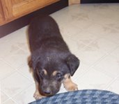 475369-zoe.JPG