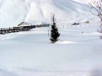 603124-Snow 002 smaller.JPG