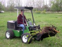 431339-treerem07-2.jpg