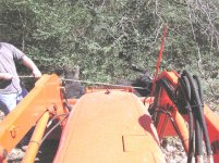 603409-cowmove.jpg