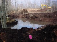 651224-Pond Tripletts.jpg