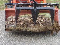 517781-Rock 1.JPG