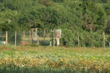 603501-deerfence.jpg