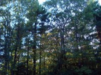 DSC01210.jpg