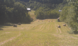 ForumRunner_20130801_195727.png