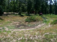 8-30-13 Pond Looking SE Before Dredging.jpg