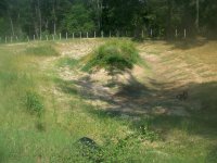 8-30-13 Pond before Dredging looking NW.jpg