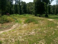 8-30-13 Dam Side Before Dredging.jpg