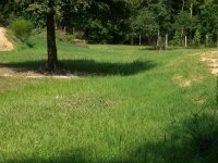 8-30-13 Dam Backside Before Dredging.jpg