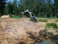 8-31-13 Bobcat dumping her bucket.jpg