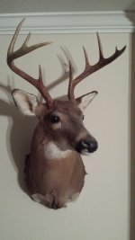 20130818_235451.jpg
