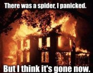 killing-spider-with-fire.jpg