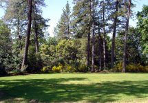 frontyard2.jpg