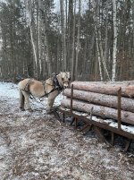 IMG_4785.jpg