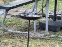 IMG_4494[1].JPG