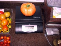 Weigh-In.jpg